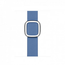 Ремешок Modern Buckle для Apple Watch 41 мм, голубой